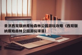 景洪西双版纳原始森林公园游玩攻略（西双版纳原始森林公园游玩项目）