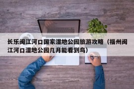 长乐闽江河口国家湿地公园旅游攻略（福州闽江河口湿地公园几月能看到鸟）