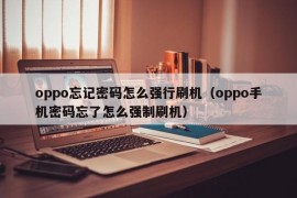 oppo忘记密码怎么强行刷机（oppo手机密码忘了怎么强制刷机）