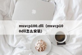 msvcp100.dll（msvcp100dll怎么安装）