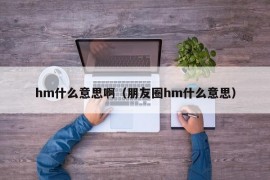 hm什么意思啊（朋友圈hm什么意思）