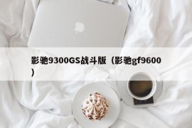 影驰9300GS战斗版（影驰gf9600）