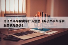 瓜子二手车保卖车什么意思（瓜子二手车保卖服务费是多少）