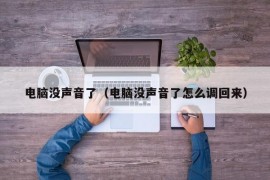 电脑没声音了（电脑没声音了怎么调回来）