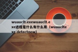 wuauclt.exewuauclt.exe进程是什么有什么用（wuaucltexe detectnow）