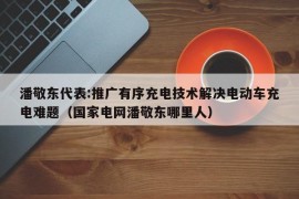 潘敬东代表:推广有序充电技术解决电动车充电难题（国家电网潘敬东哪里人）