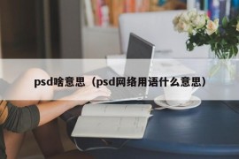 psd啥意思（psd网络用语什么意思）