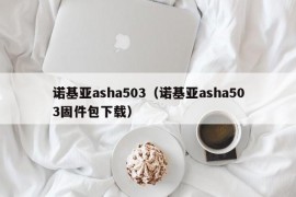 诺基亚asha503（诺基亚asha503固件包下载）