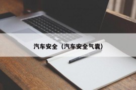 汽车安全（汽车安全气囊）