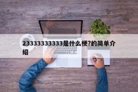 23333333333是什么梗?的简单介绍