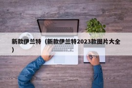 新款伊兰特（新款伊兰特2023款图片大全）