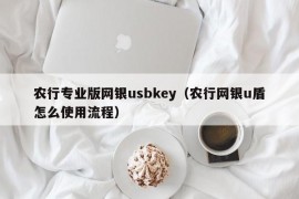 农行专业版网银usbkey（农行网银u盾怎么使用流程）