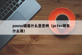 pause键是什么意思啊（prtsc键有什么用）