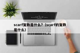 scarf复数是什么?（scarf的复数是什么）