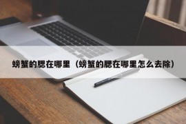 螃蟹的腮在哪里（螃蟹的腮在哪里怎么去除）