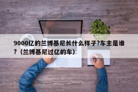 9000亿的兰博基尼长什么样子?车主是谁?（兰博基尼过亿的车）