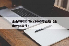 金山WPSOffice2005专业版（金山wps软件）