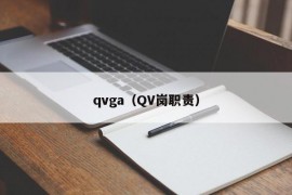 qvga（QV岗职责）