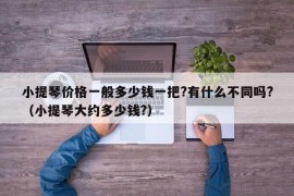 小提琴价格一般多少钱一把?有什么不同吗?（小提琴大约多少钱?）