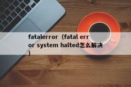 fatalerror（fatal error system halted怎么解决）