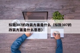 标致307的改装方案是什么（标致307的改装方案是什么意思）