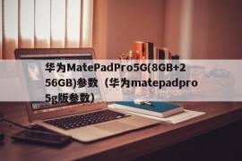 华为MatePadPro5G(8GB+256GB)参数（华为matepadpro5g版参数）