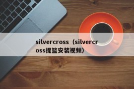 silvercross（silvercross提篮安装视频）