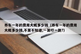 养车一年的费用大概多少钱（养车一年的费用大概多少钱,不算不知道,一算吓一跳?）