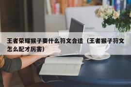 王者荣耀猴子要什么符文合适（王者猴子符文怎么配才厉害）