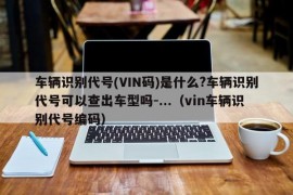 车辆识别代号(VIN码)是什么?车辆识别代号可以查出车型吗-...（vin车辆识别代号编码）