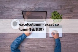 excelcolumn（excel column什么意思）