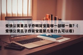 爱情公寓里吕子乔喝肾宝是哪一部哪一集?（爱情公寓吕子乔肾宝是第几集什么可以看）