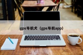 gps导航犬（gps导航app）