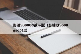 影驰9300GS战斗版（影驰gf9600gso512）