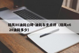 陆风X6油耗口碑-油耗车主点评（陆风x6 20油耗多少）