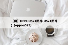 【图】OPPOU521图片(U521图片)（oppou529）