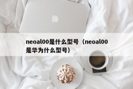 neoal00是什么型号（neoal00是华为什么型号）