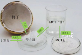 mct粉是什么东西 ,mct粉是什么东西？