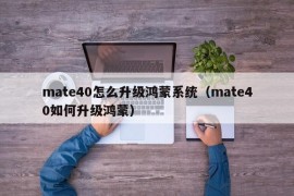 mate40怎么升级鸿蒙系统（mate40如何升级鸿蒙）