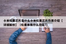 小米松果芯片是什么小米松果芯片作用介绍【详细解析】（松果米有什么功能?）