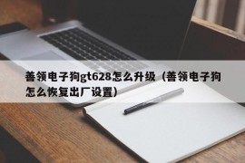 善领电子狗gt628怎么升级（善领电子狗怎么恢复出厂设置）