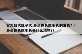 官大权大肚子大,身长体长尾毛长的生肖?（身长体长尾毛长是什么动物?）