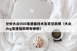 分析大众DSG变速器技术及常见故障（大众dsg变速箱故障有哪些）