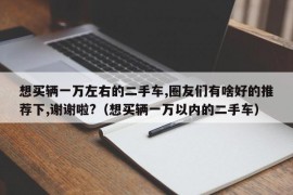 想买辆一万左右的二手车,圈友们有啥好的推荐下,谢谢啦?（想买辆一万以内的二手车）