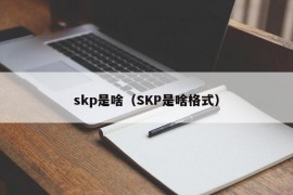 skp是啥（SKP是啥格式）