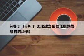 ie补丁（ie补丁 无法建立到信任根颁发机构的证书）