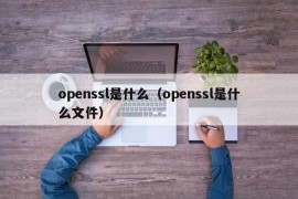 openssl是什么（openssl是什么文件）