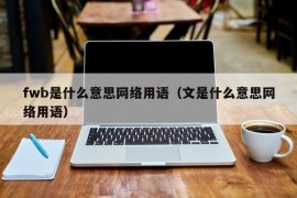 fwb是什么意思网络用语（文是什么意思网络用语）