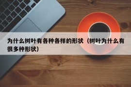 为什么树叶有各种各样的形状（树叶为什么有很多种形状）