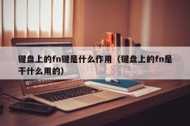 键盘上的fn键是什么作用（键盘上的fn是干什么用的）